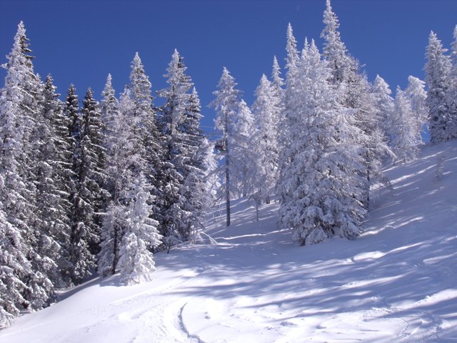 slideshow image